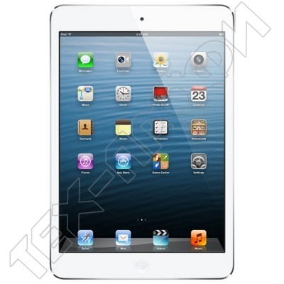  iPad Mini 3
