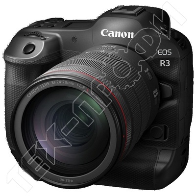  Canon EOS R3