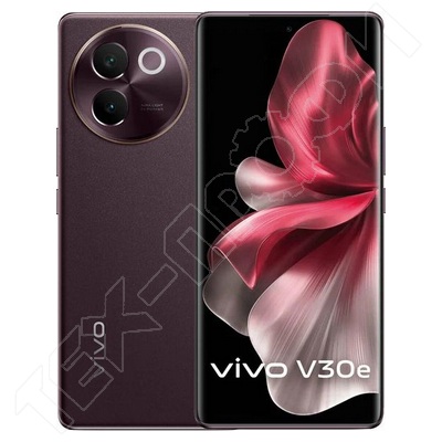  Vivo V30e