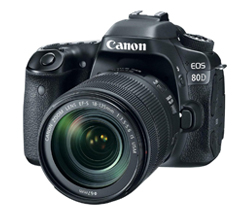 Ремонт фотоаппаратов Canon